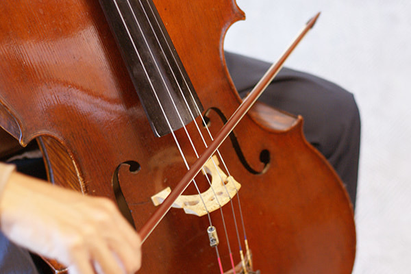 富士市のおすすめ音楽教室、ウスイ音楽教室のチェロのレッスン・大人に人気のチェロのレッスンです。