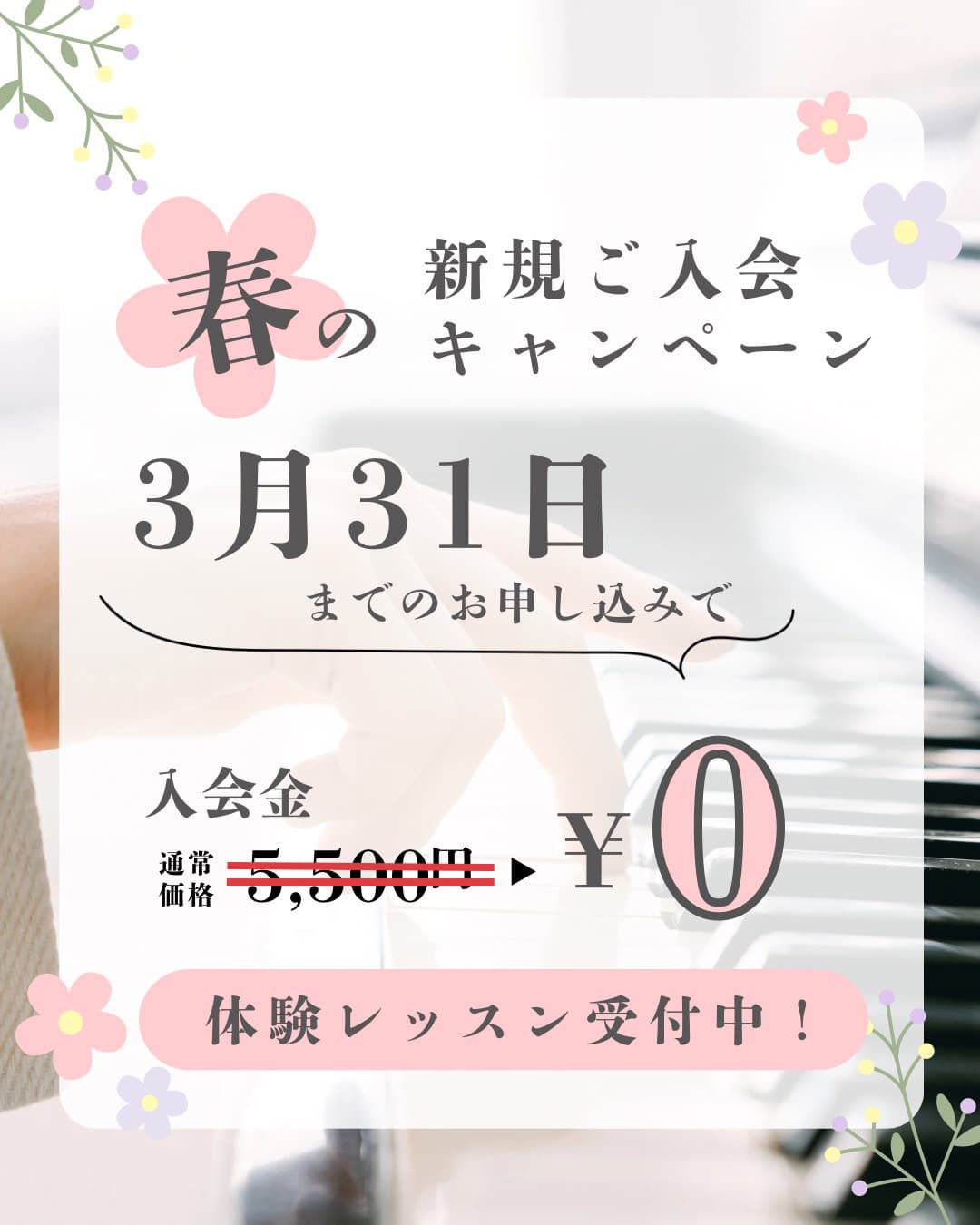 富士市の音楽教室、ウスイ音楽教室の「春の新規ご入会キャンペーン」のお知らせ